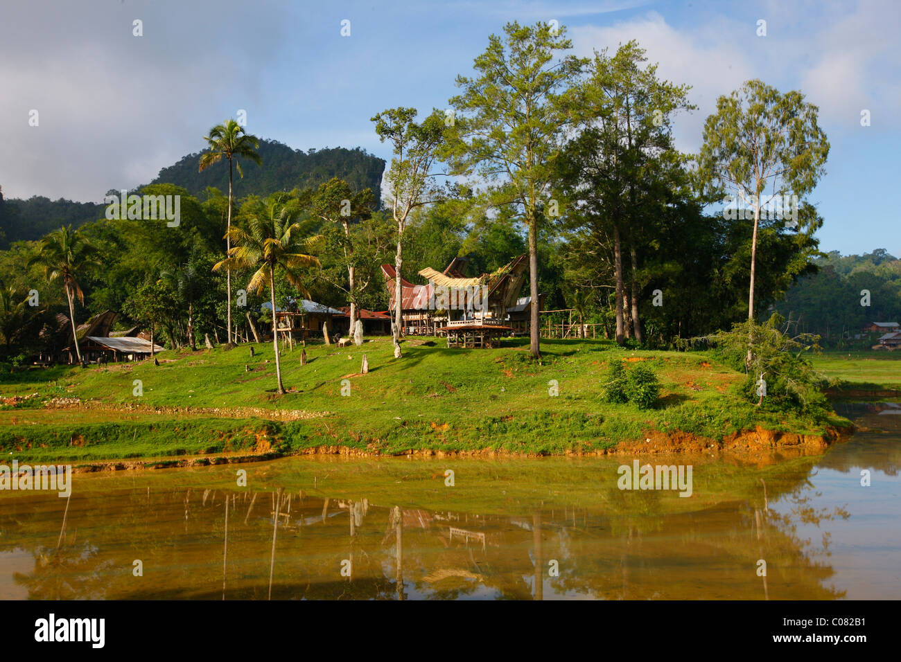 Tipica casa Toraja, Kete Kesu, Toraja cultura, Sulawesi, Indonesia, Asia Foto Stock