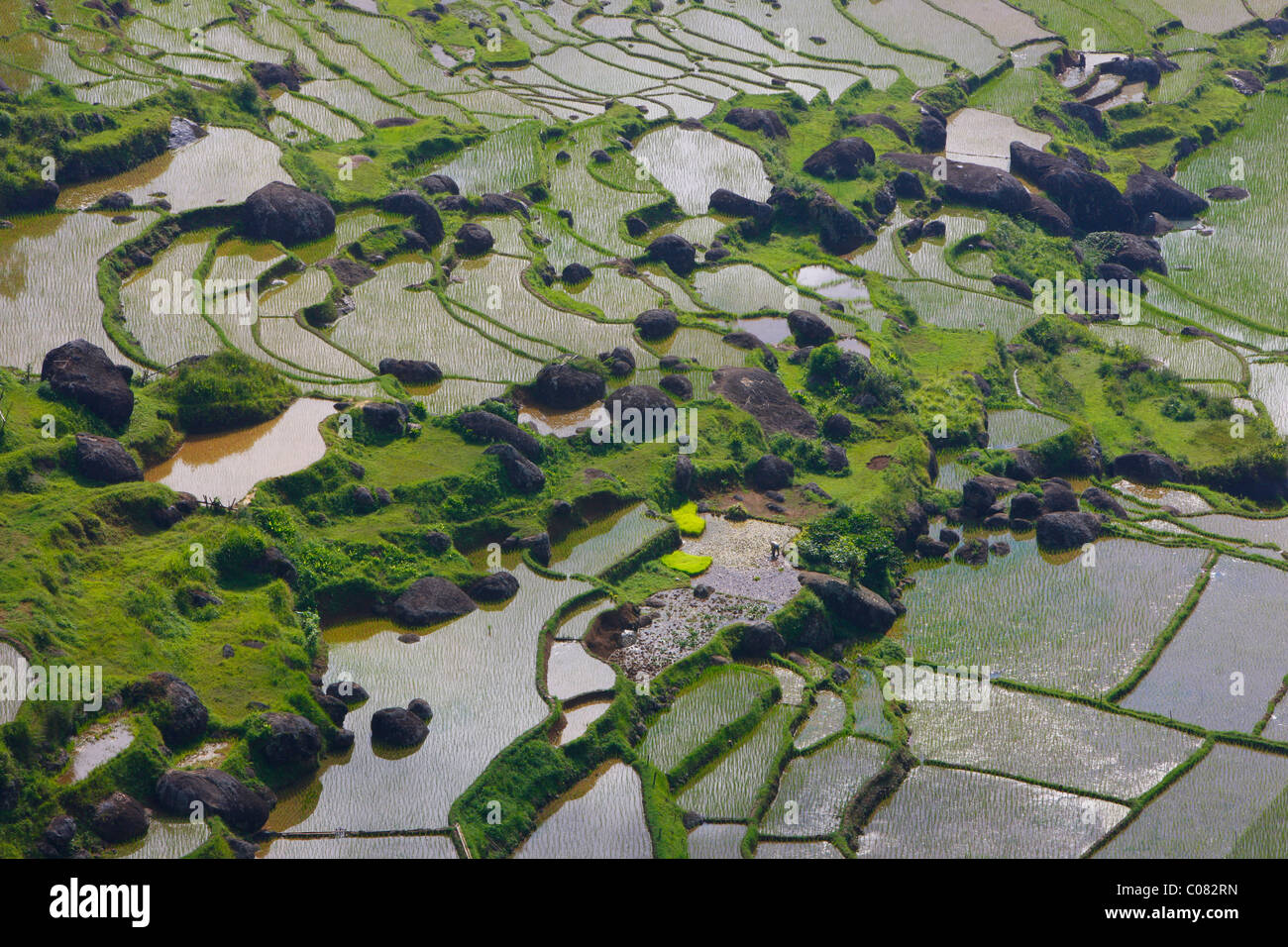Campi di riso terrazzati, Batutumonga, Toraja land, Sulawesi, Indonesia, Asia Foto Stock