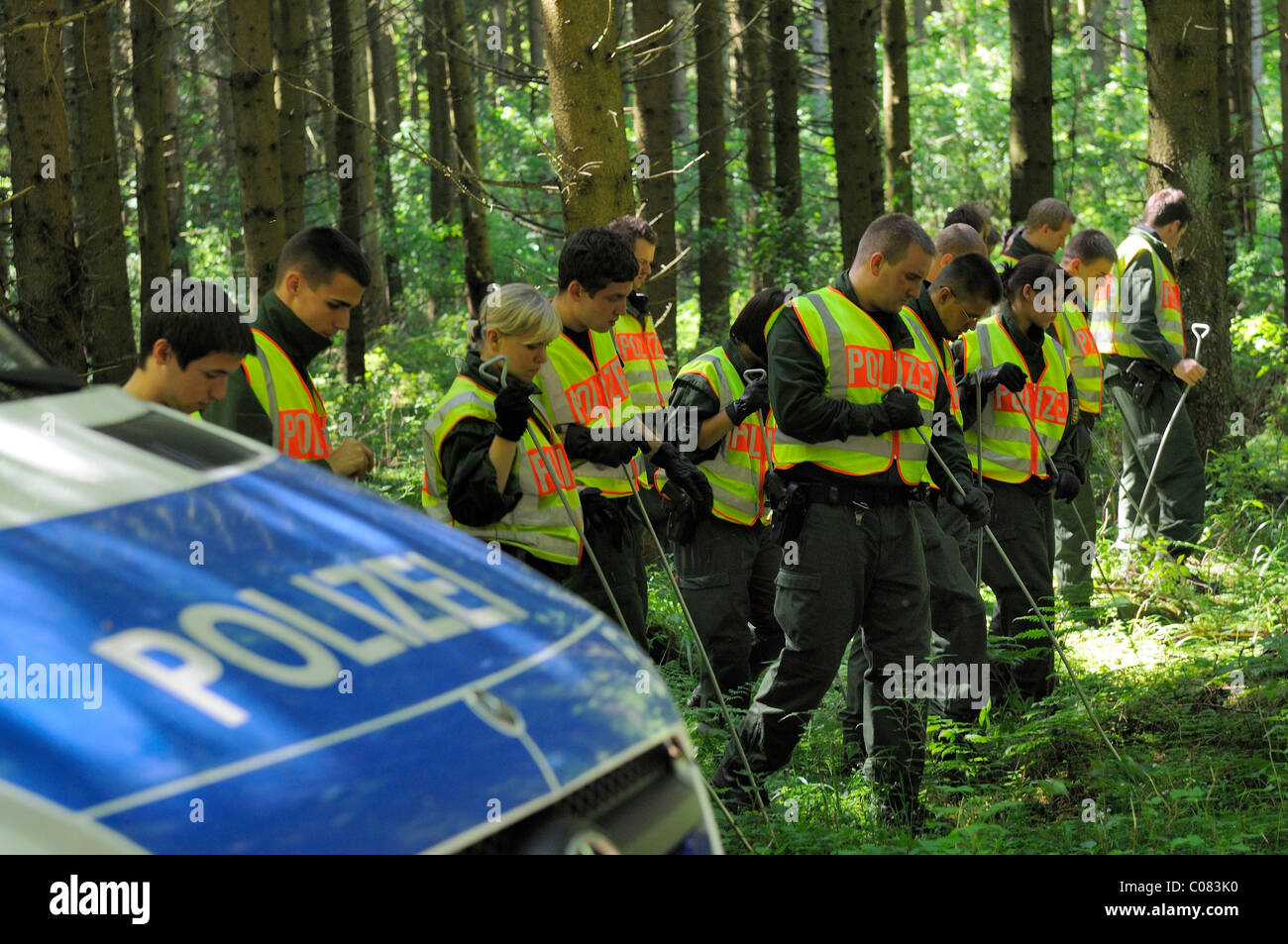 Maria Boegerl rapimento caso, polizia del team di ricerca di purga dei boschi vicino alla posizione in cui un corpo morto è stato trovato in una foresta Foto Stock