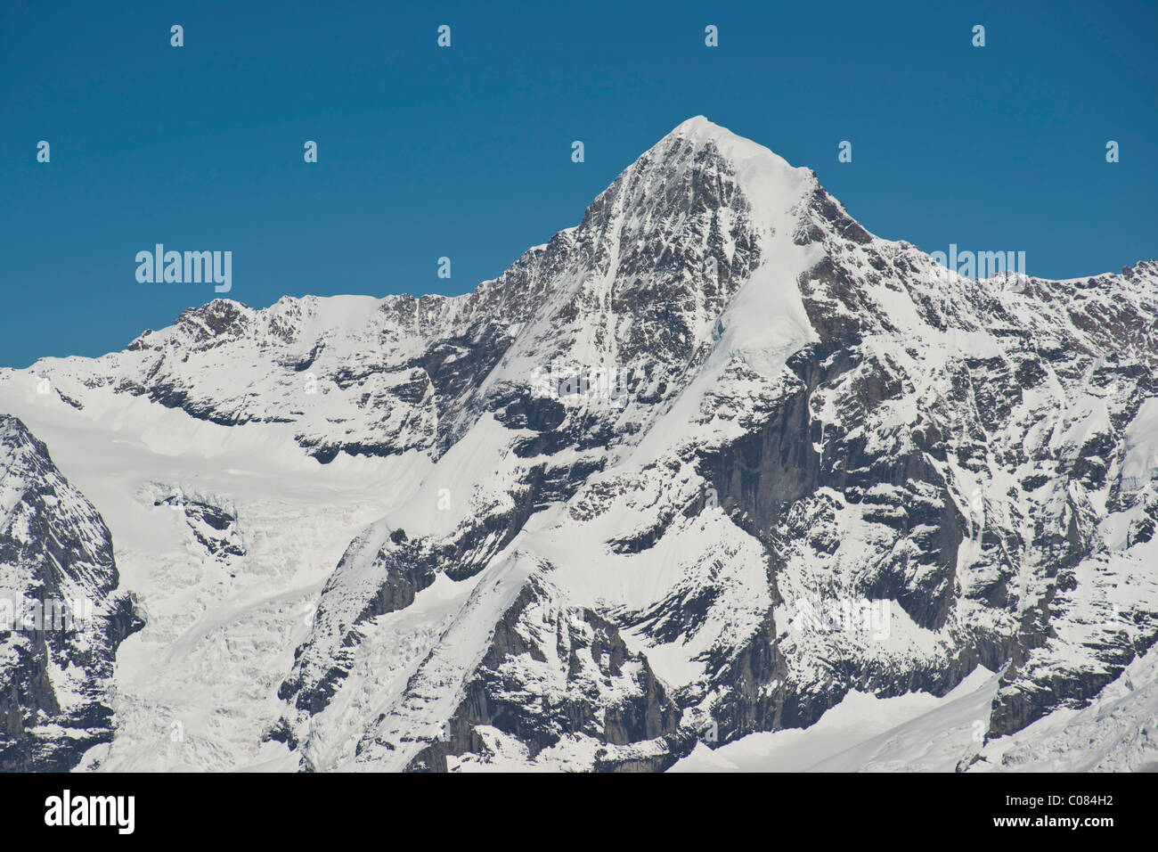 Il picco del Moench nell Oberland Bernese, visto da lo Schilthorn, Canton Berna, Svizzera, Europa Foto Stock