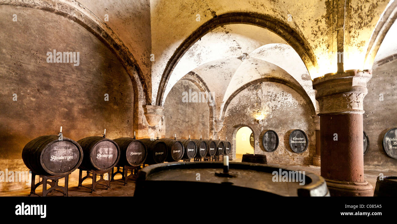 Cantina dei vini presso il Kloster Eberbach offrono Abbey, Eltville am Rhein, Rheingau, Hesse, Germania, Europa Foto Stock