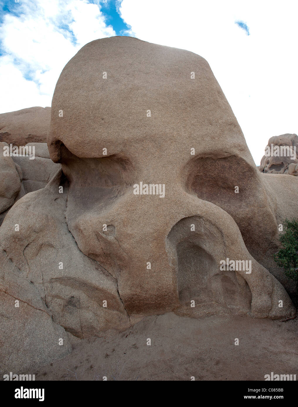 Cranio Rock, una formazione geologica a Joshua Tree National Park, California, Stati Uniti d'America Foto Stock