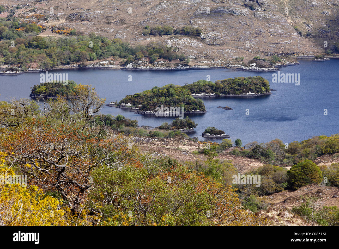 Ladies View, Lago Superiore, Parco Nazionale di Killarney, nella contea di Kerry, Irlanda Isole britanniche, Europa Foto Stock