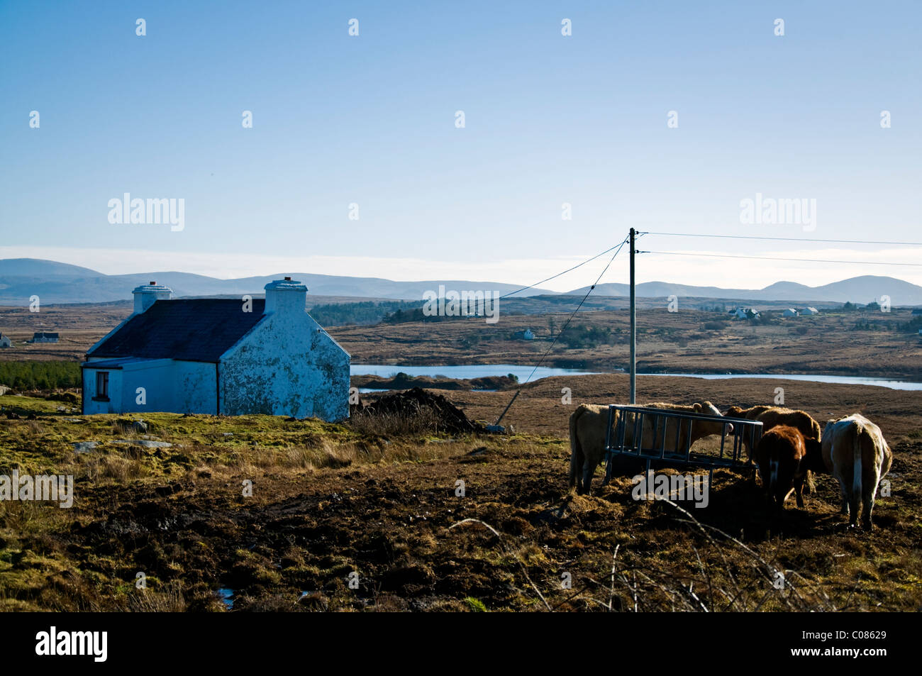 Piccola fattoria in Irlanda rurale Foto Stock