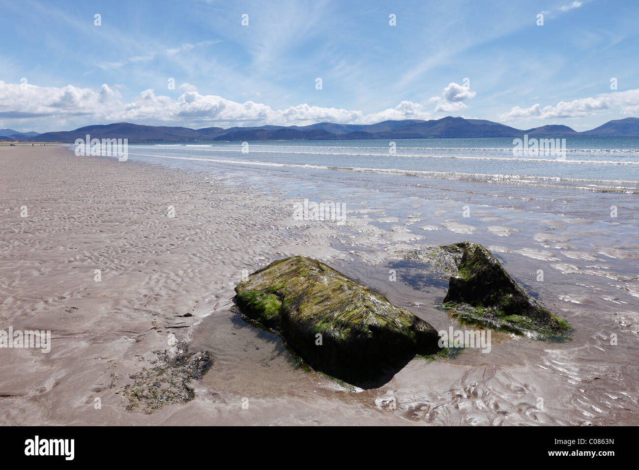 Spiaggia di pollice, Dingle Bay, penisola di Dingle, nella contea di Kerry, Irlanda Isole britanniche, Europa Foto Stock