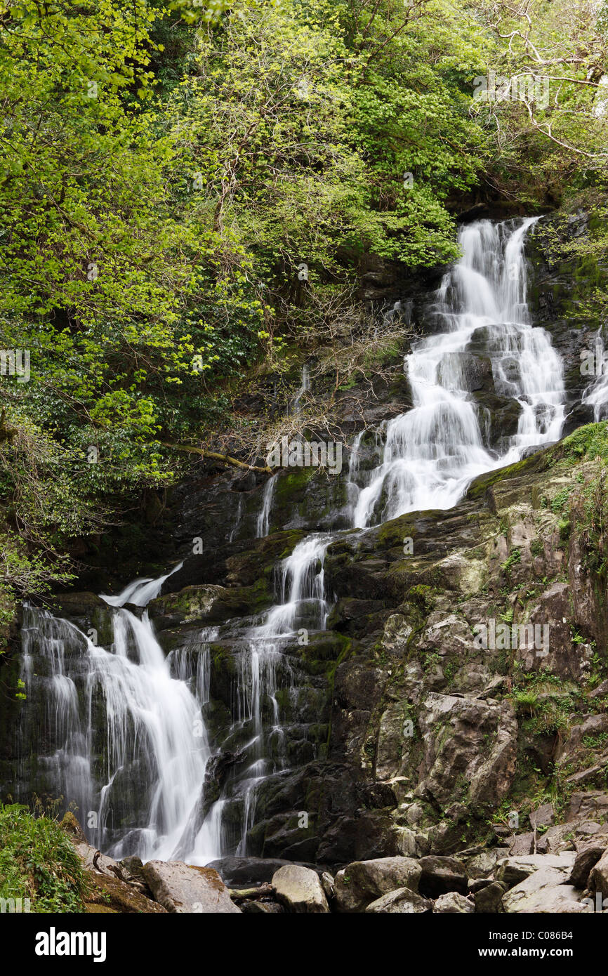 Cascata Torc, Parco Nazionale di Killarney, nella contea di Kerry, Irlanda Isole britanniche, Europa Foto Stock