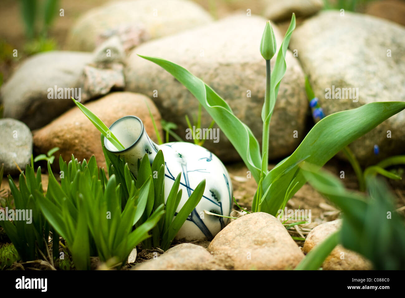 Brocca sulla terra con roks ed erba verde in giardino Foto Stock