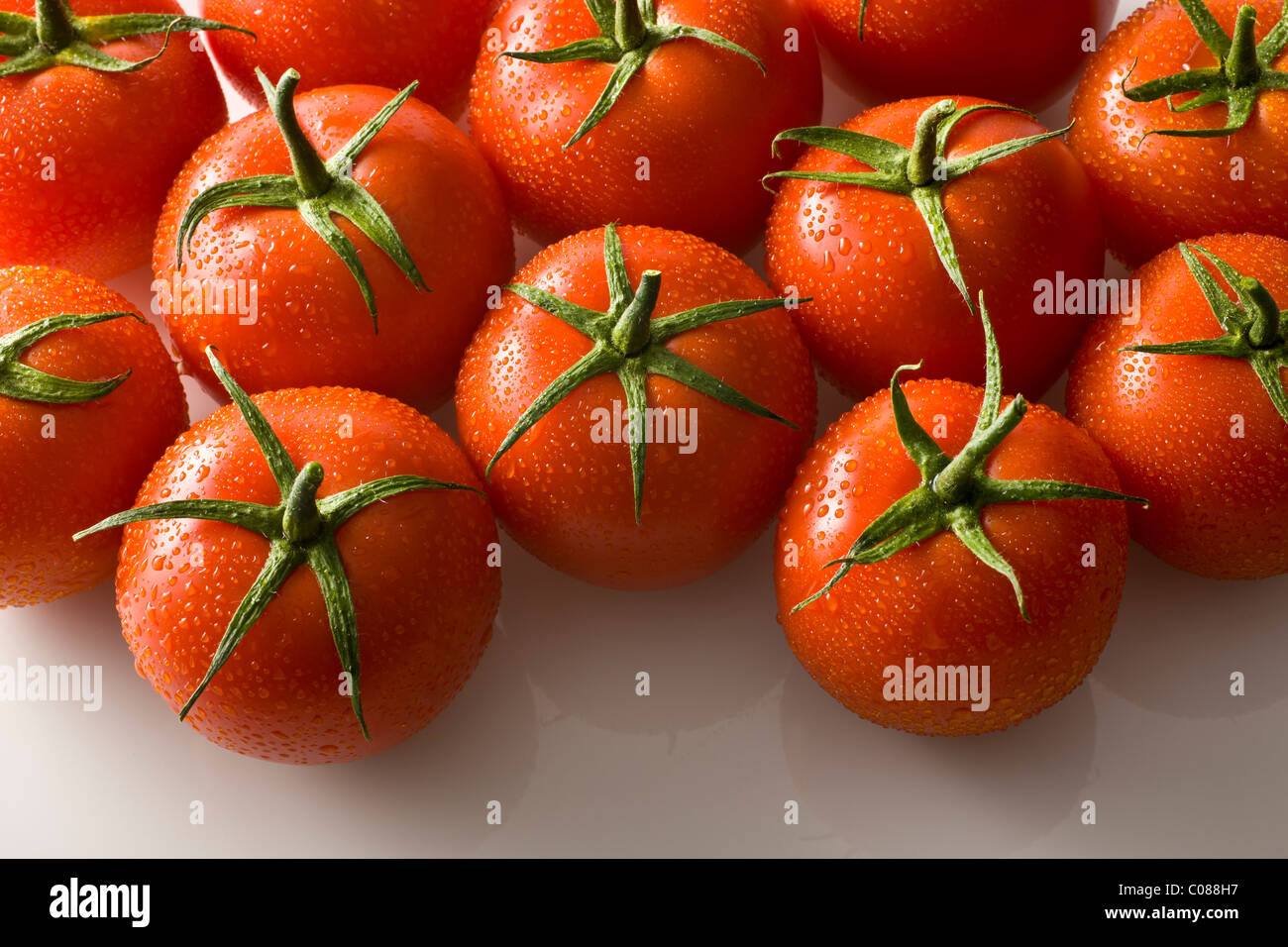 Freschi pomodori a grappolo su sfondo bianco Foto Stock