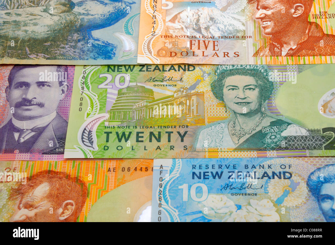 Dollaro Neozelandese di banconote. Foto Stock
