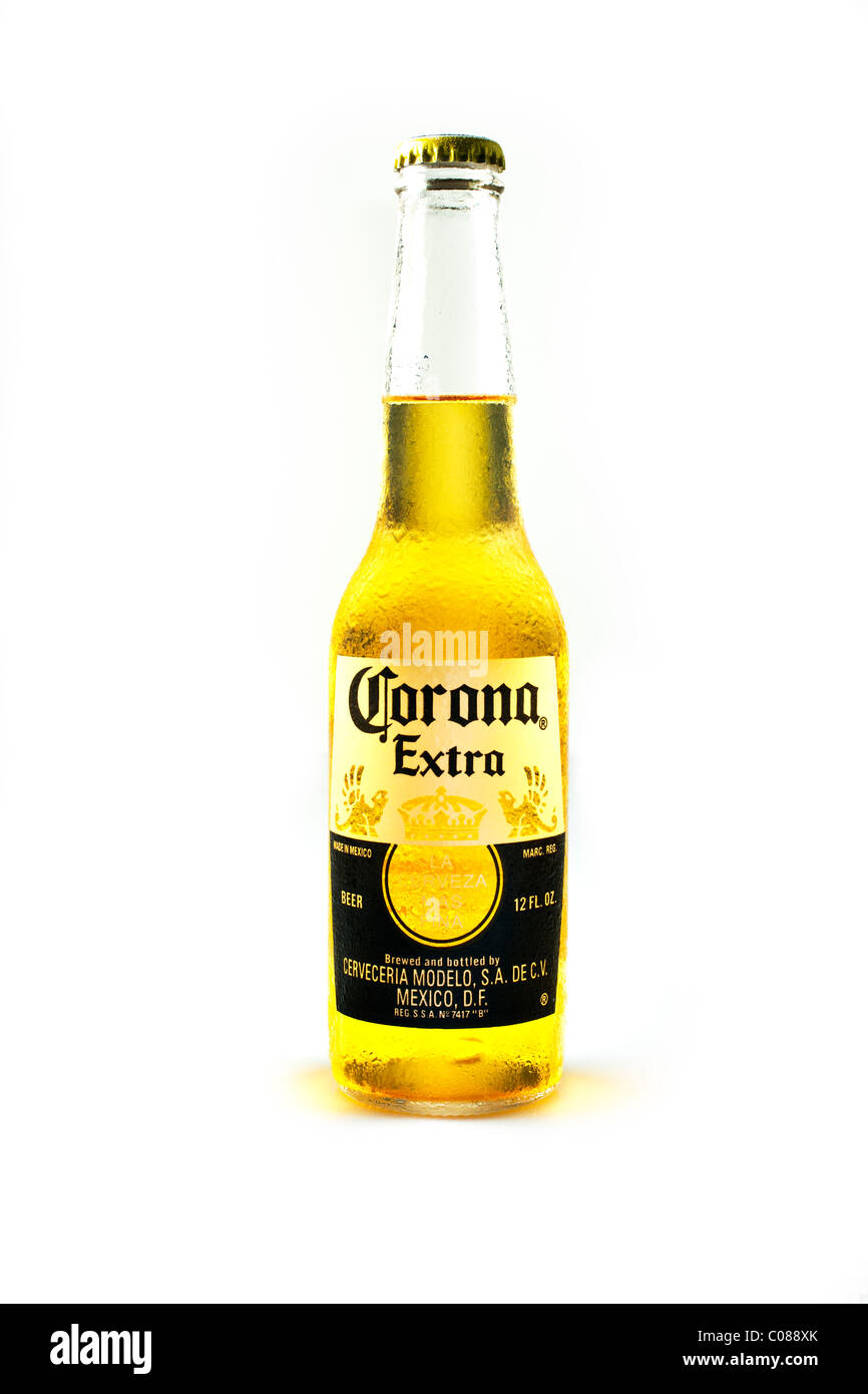 Una bottiglia di birra Corona su uno sfondo bianco. Foto Stock