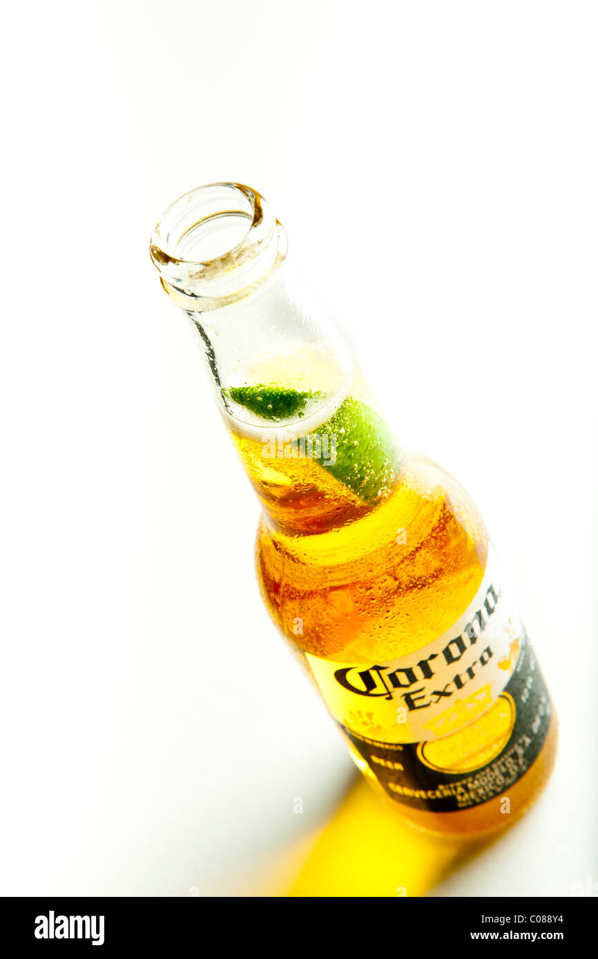 Una bottiglia di birra Corona con una fetta di limone su uno sfondo bianco. Foto Stock