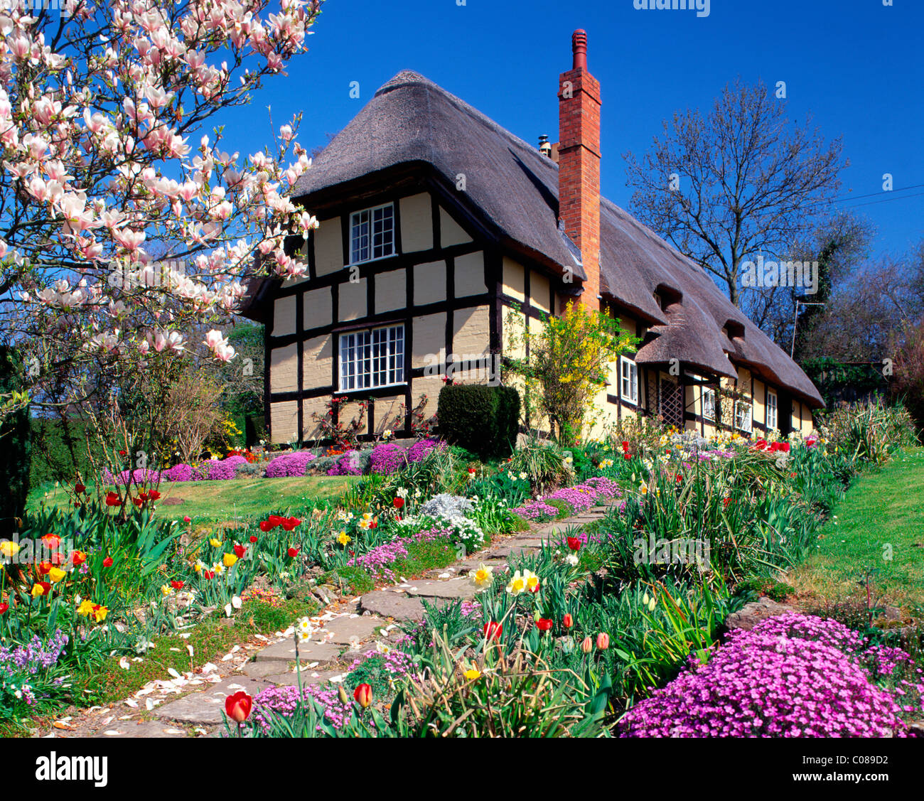 Con tetto in paglia e cottage in legno con fiori di primavera a Eastnor, Herefordshire, England, Regno Unito Foto Stock