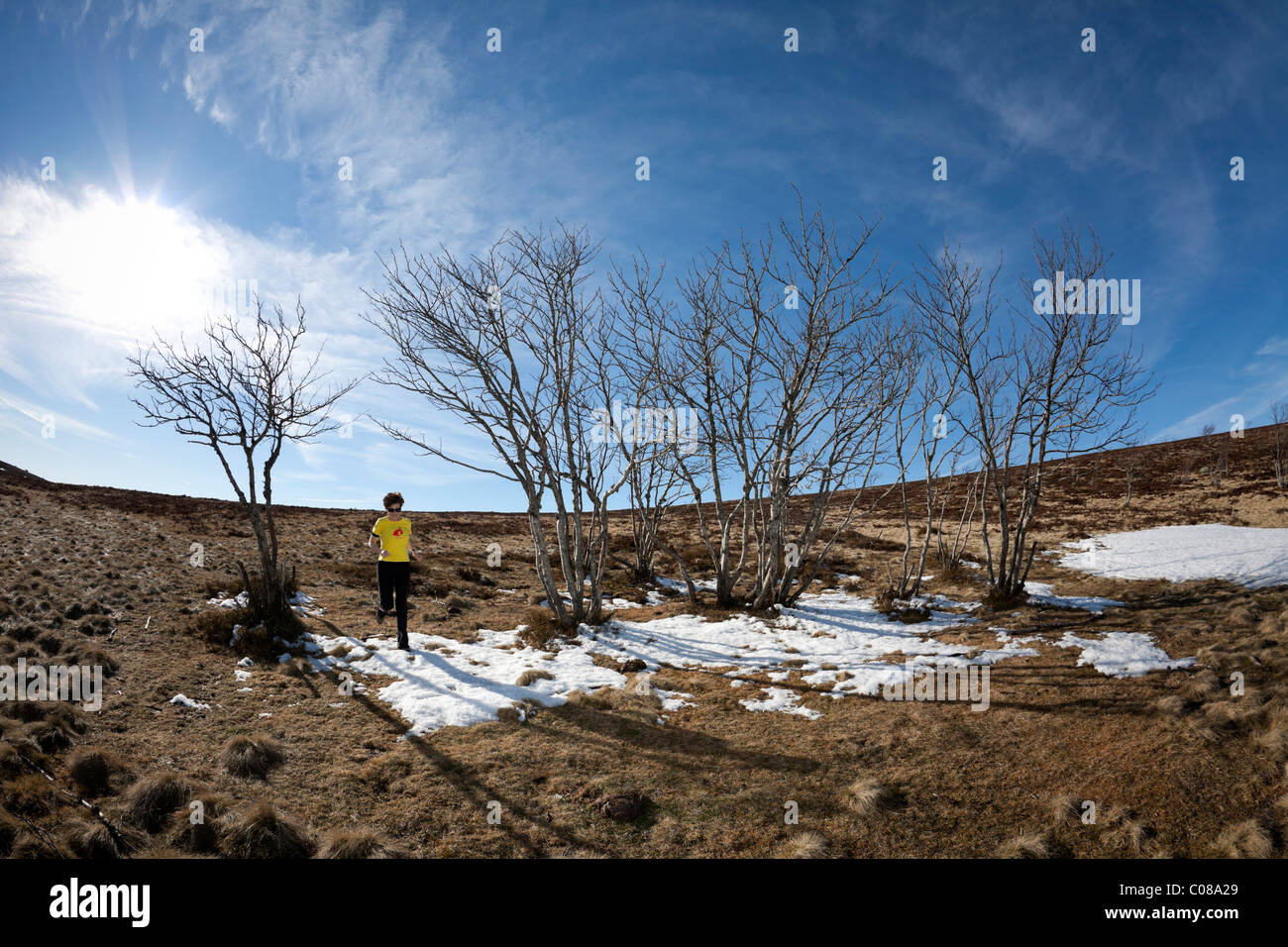 Una giovane donna di jogging sul Forez creste (Auvergne - Francia) Jeune femme pratiquant onu jogging sur les crêtes du Forez (Francia) Foto Stock