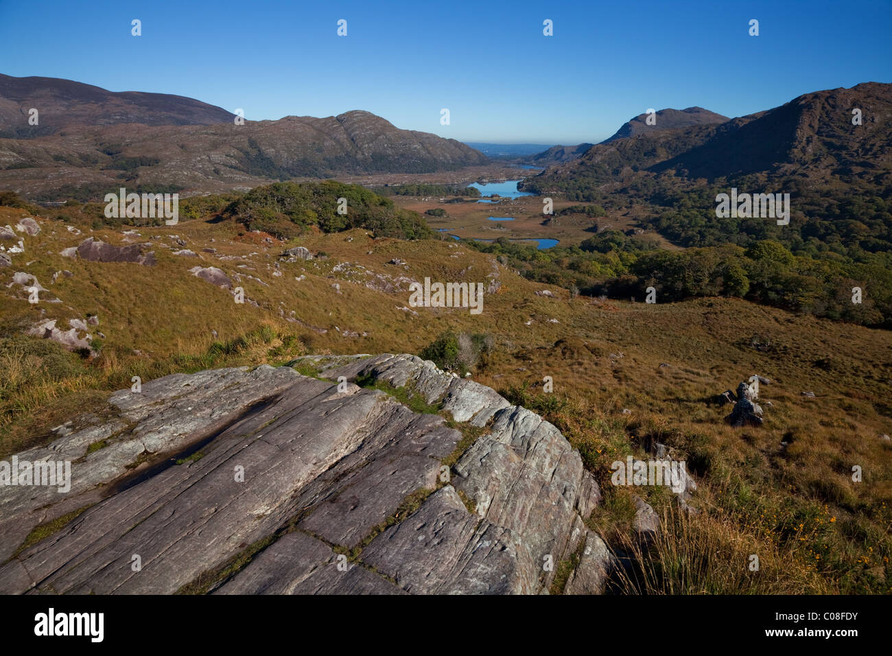 Ladies View, Parco Nazionale di Killarney, nella contea di Kerry, Irlanda Foto Stock
