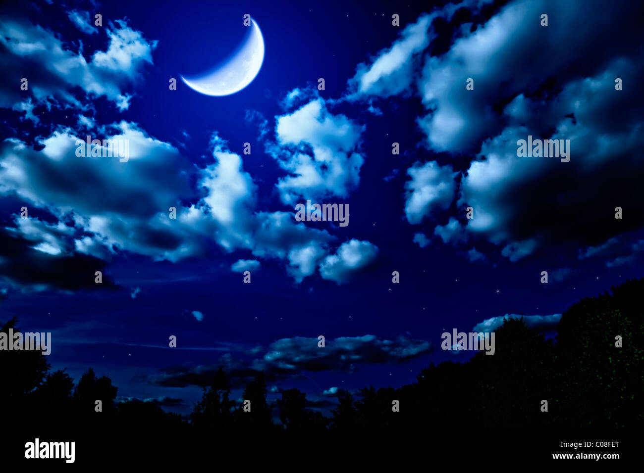 Paesaggio con night summer foresta con alberi verdi e grande e luminosa luna nel cielo scuro con nuvole e stelle Foto Stock