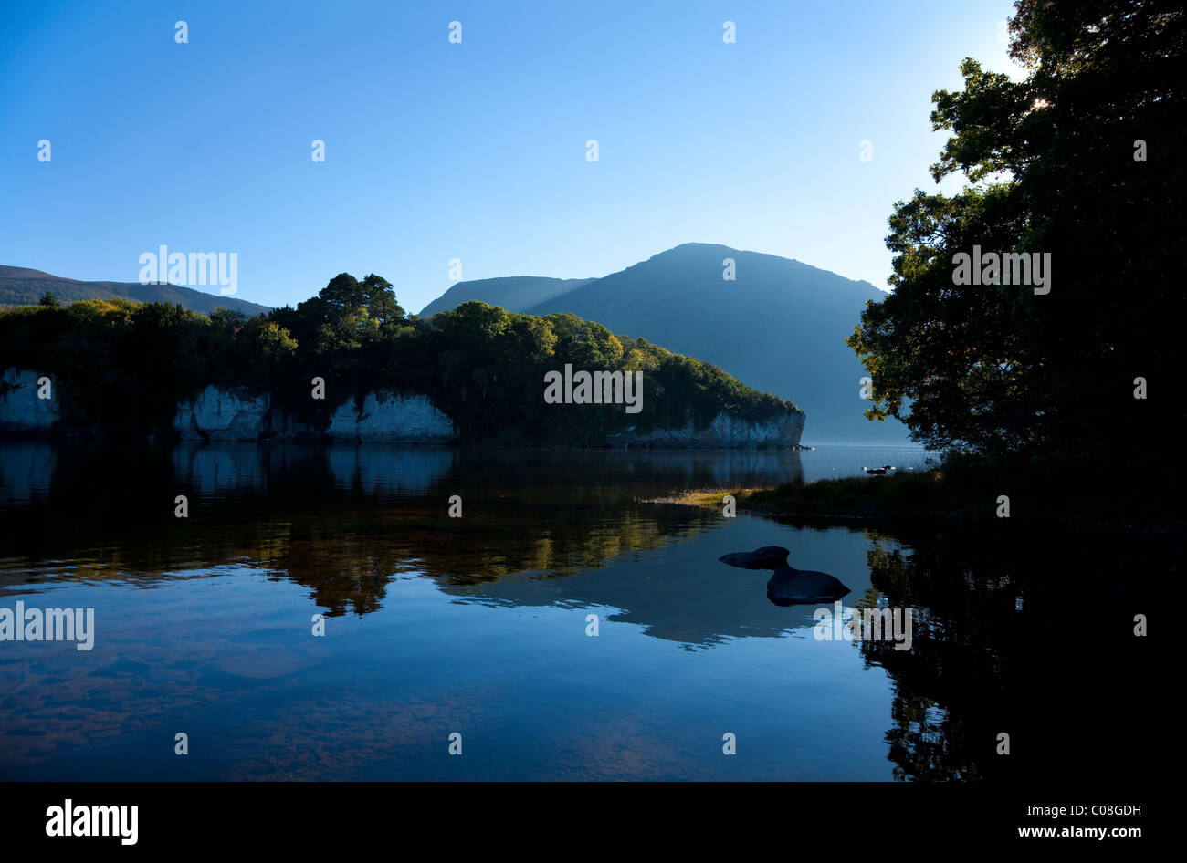 Affioramento di calcare sul Lago di Muckross, Parco Nazionale di Killarney, nella contea di Kerry, Irlanda Foto Stock
