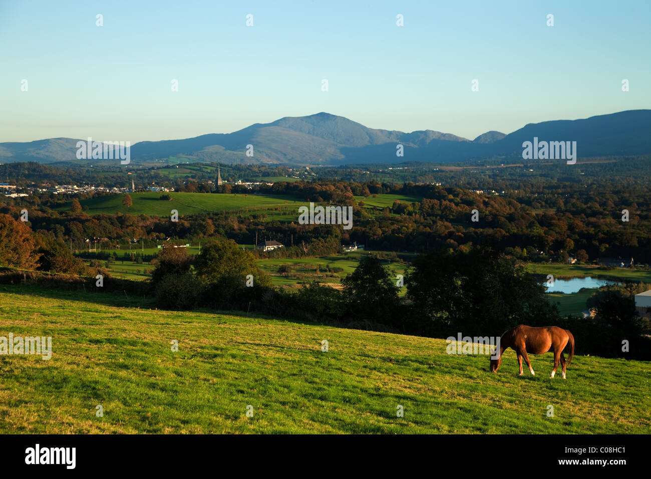 Cavallo sulla collina di Aghadoe, Affacciato su Lough Leane, Parco Nazionale di Killarney, nella contea di Kerry, Irlanda Foto Stock