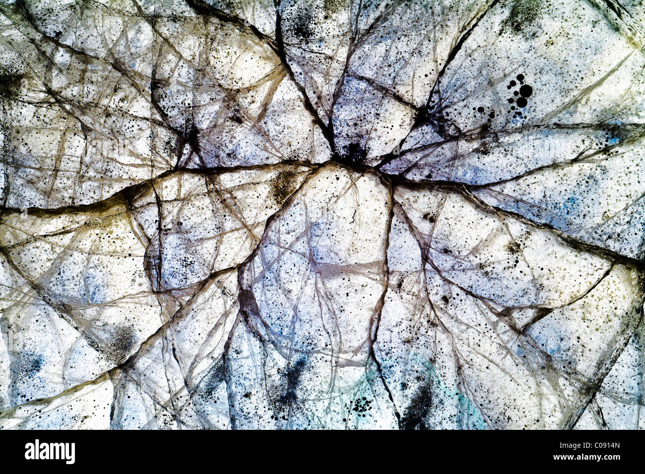 Close up di ghiaccio incrinature nel fiume Nenana vicino a Parco Nazionale e Riserva di Denali, Interior Alaska, inverno Foto Stock