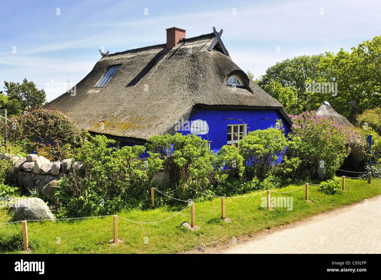 Il Blue Barn sull isola di Hiddensee, un Low-German xix secolo edificio con tetto in paglia, attualmente una galleria d'arte gestito dal suo proprietario Foto Stock
