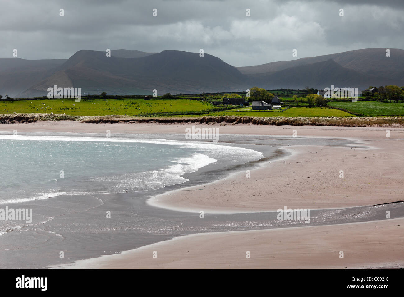 Brandon Bay, penisola di Dingle, nella contea di Kerry, Irlanda Isole britanniche, Europa Foto Stock