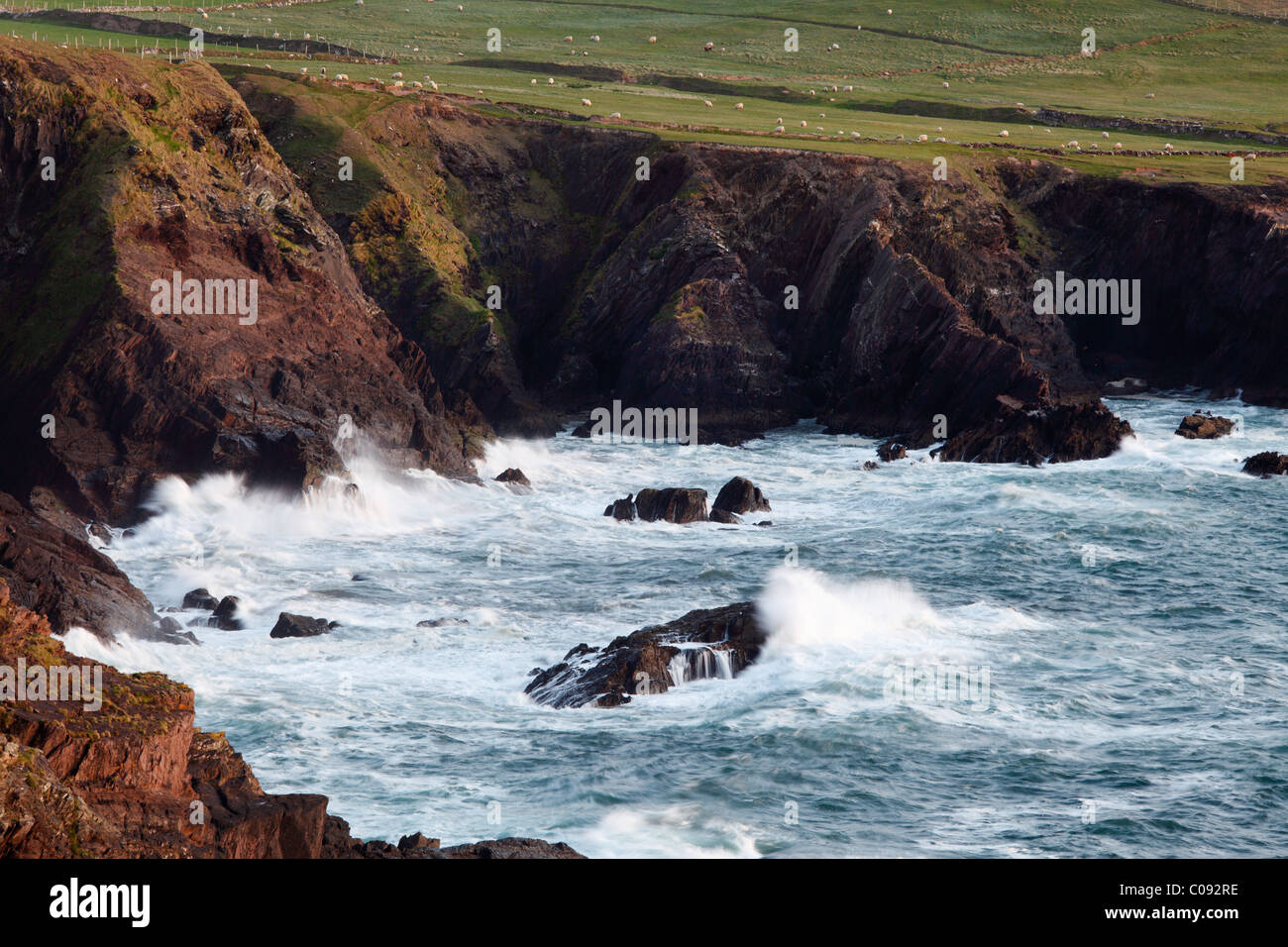 Surf, Slea Head, penisola di Dingle, nella contea di Kerry, Irlanda Isole britanniche, Europa Foto Stock