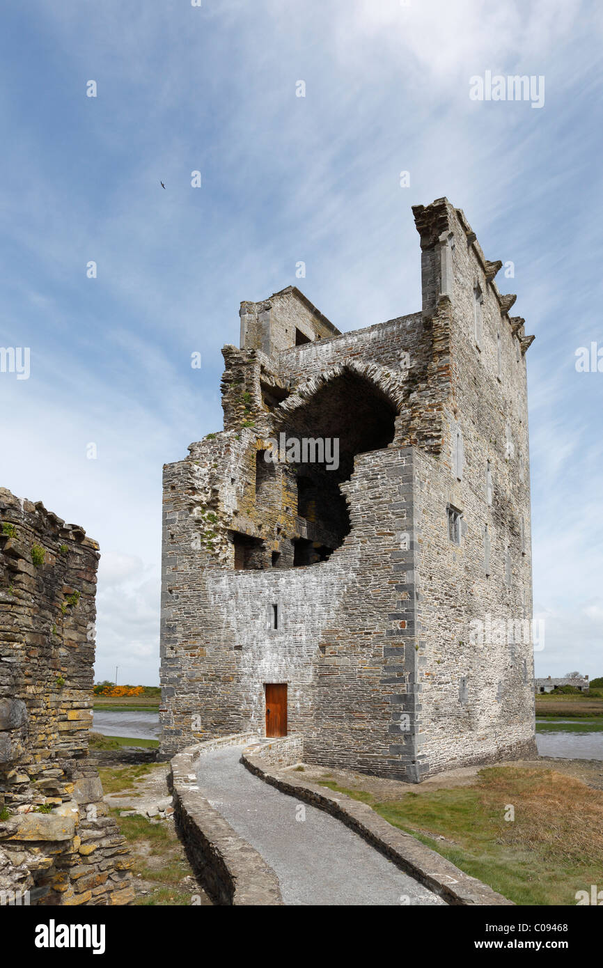 Il castello di Carrigafoyle sulla riva di Shannon, Ballylongford, nella contea di Kerry, Irlanda Isole britanniche, Europa Foto Stock