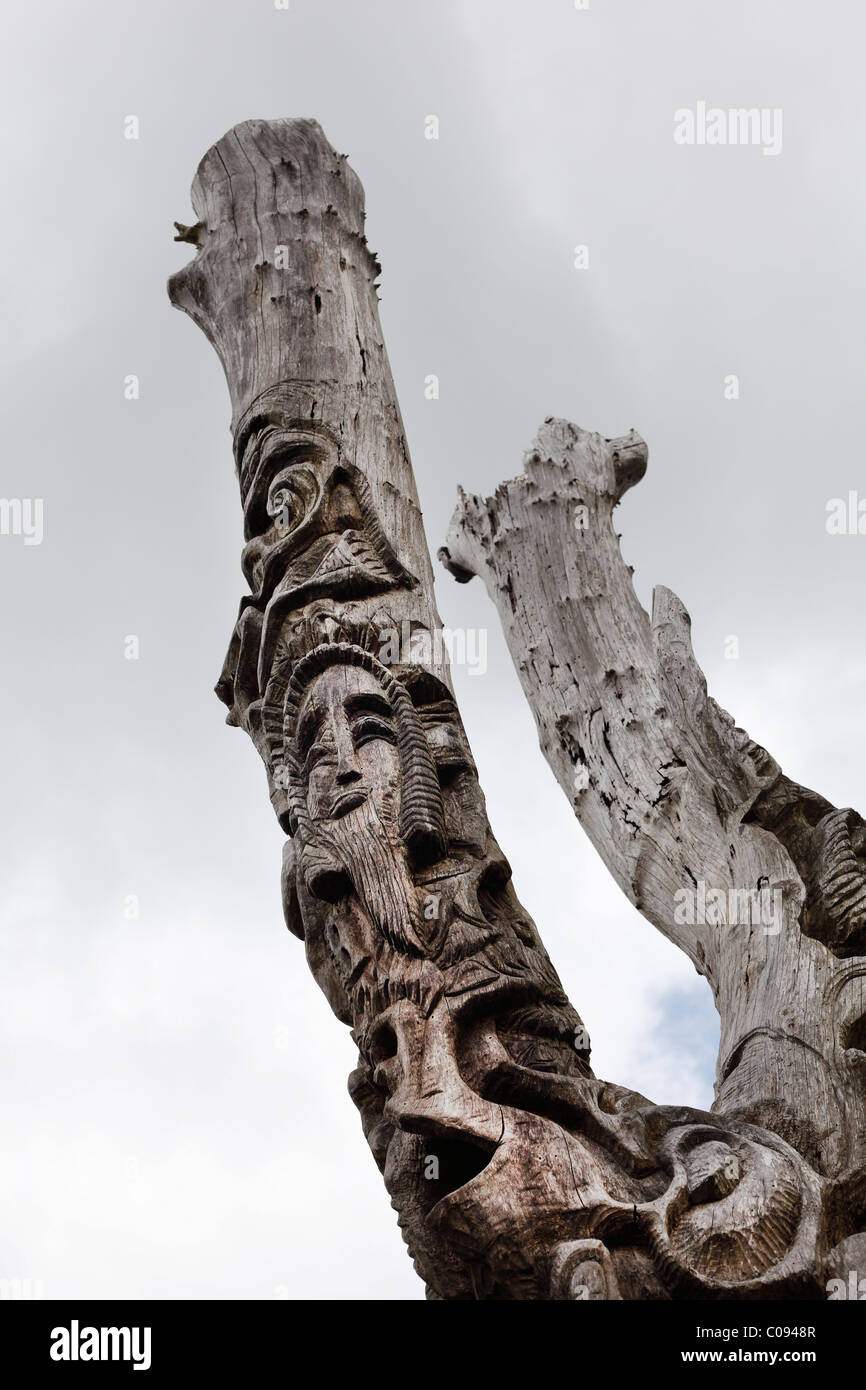 Trinità Tree, Dingle, nella contea di Kerry, Irlanda Isole britanniche, Europa Foto Stock