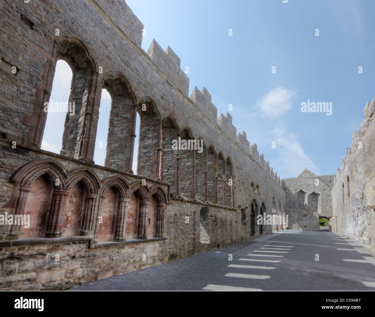 Cattedrale di Ardfert, nella contea di Kerry, Irlanda Isole britanniche, Europa Foto Stock