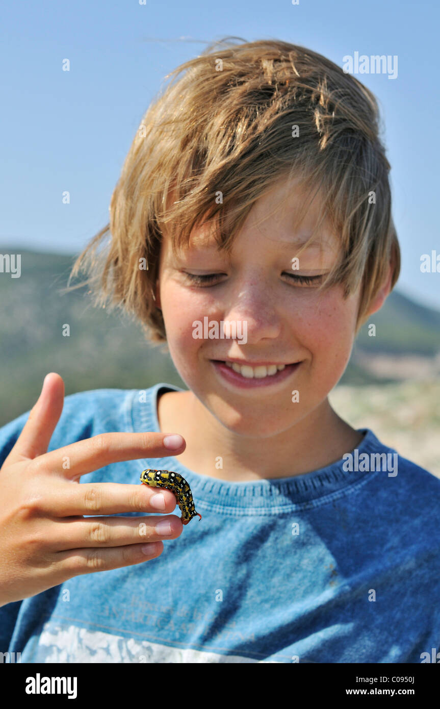 Il ragazzo, 13 anni, con il bruco di un falco di euforbia-moth (Hyles euphorbiae) sulla sua mano, Croazia, Europa Foto Stock