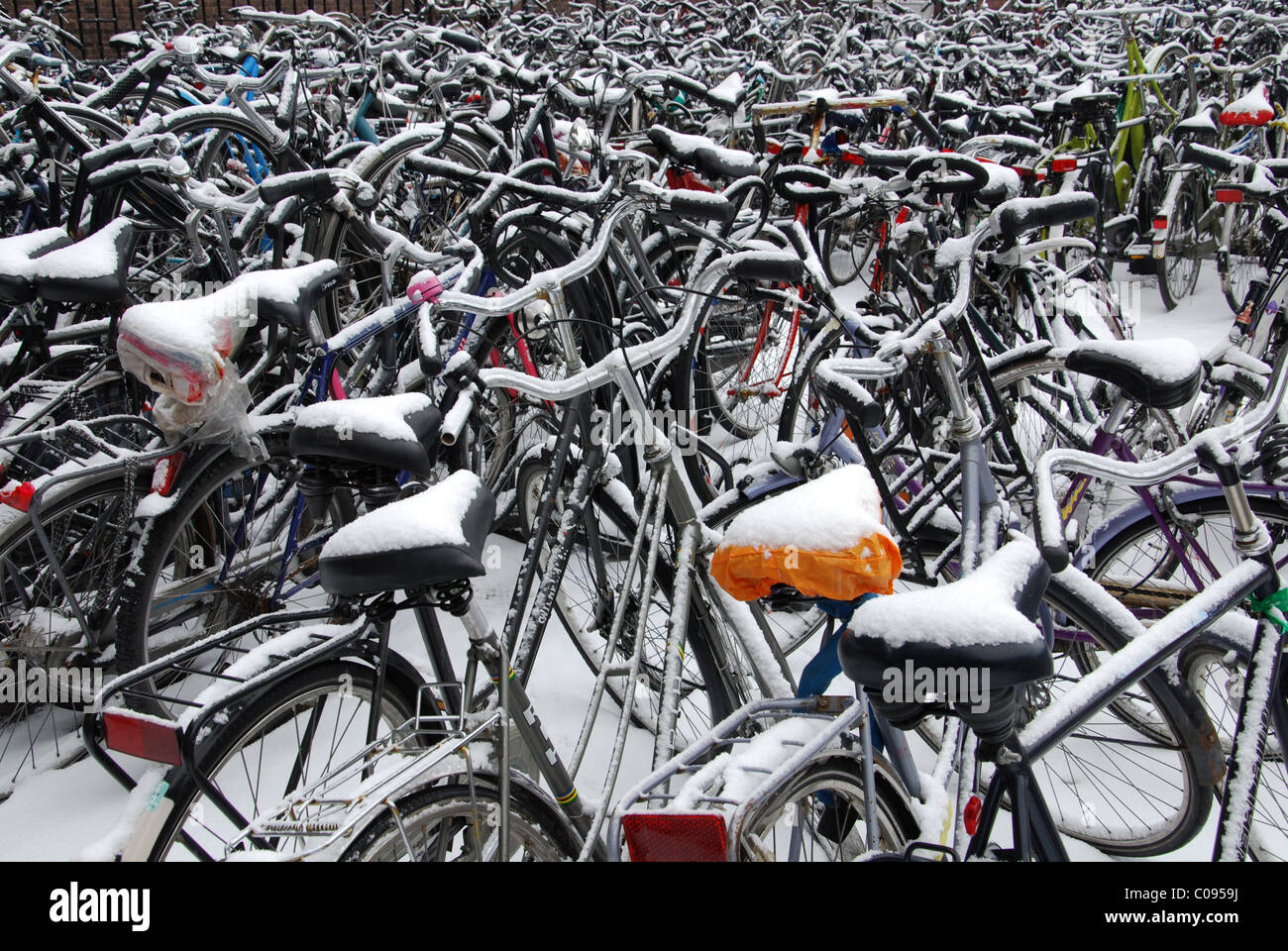 Le biciclette parcheggiate ricoperta di neve Maastricht Paesi Bassi Foto Stock