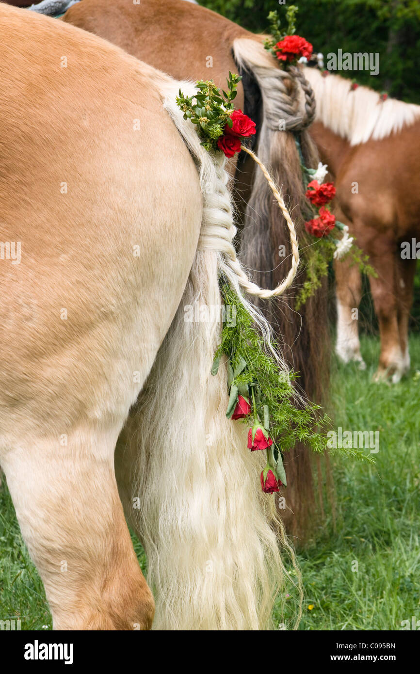 Decorate cavallo, intrecciato di coda, Georgiritt tradizionale pellegrinaggio per St George, a Penzberg Hubkapelle Cappella Foto Stock