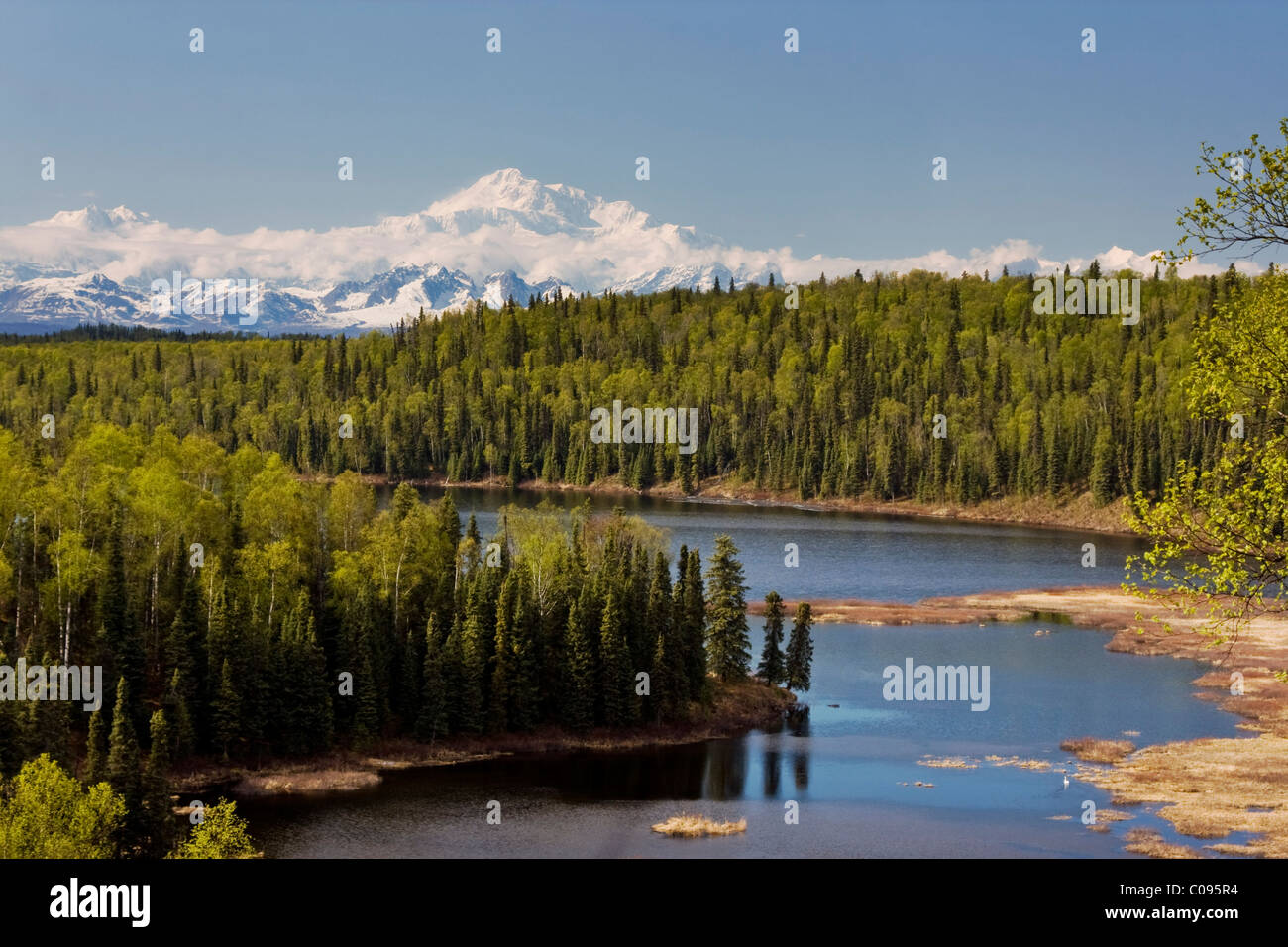 Vista panoramica di Mt. McKinley e pesce di lago vicino a Talkeetna centromeridionale, Alaska, estate Foto Stock