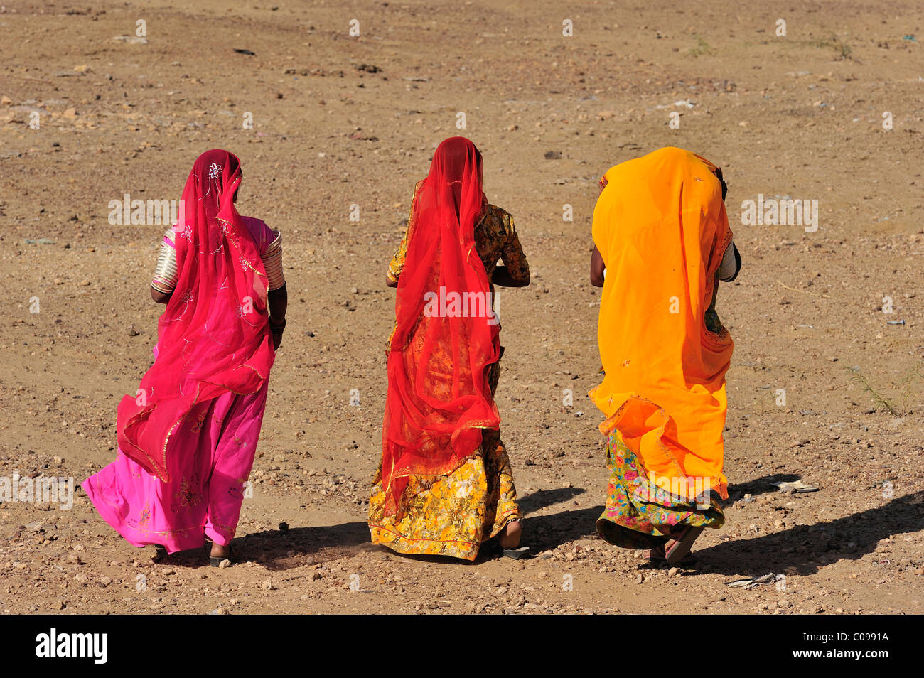 Le donne indossano sari colorati, deserto di Thar, Rajasthan, India, Asia Foto Stock