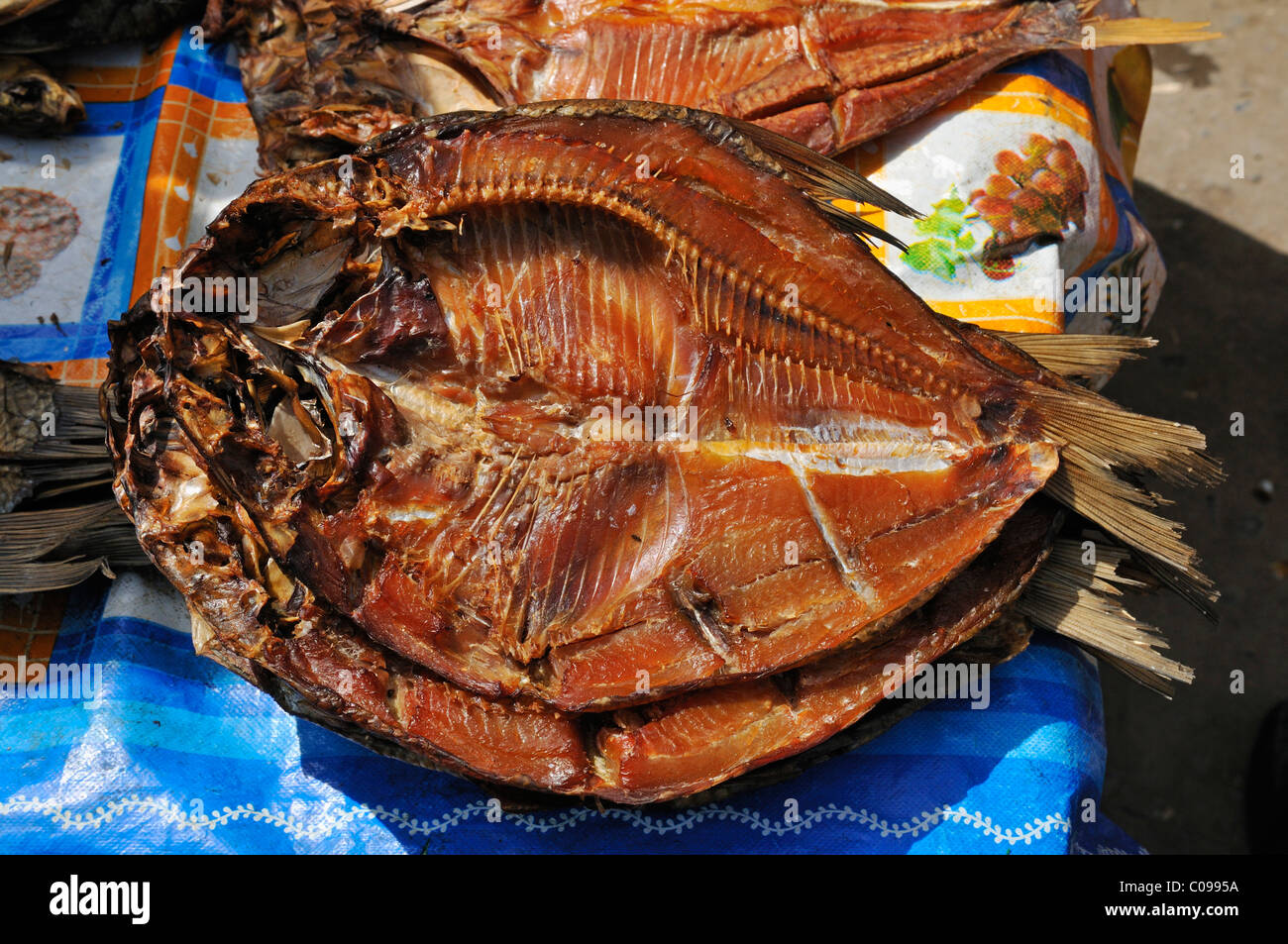 Secchi, pesce affumicato al mercato centrale di Samarcanda, Uzbekistan in Asia centrale Foto Stock