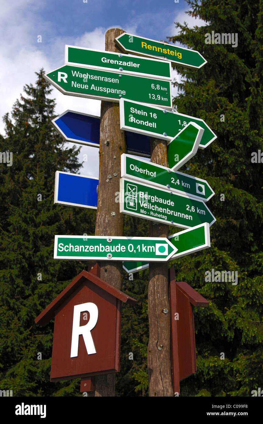 Il montante di guida sul Rennsteig ridge a piedi, Grenzadler, vicino a Oberhof, Foresta Turingia, Turingia, Germania, Europa Foto Stock