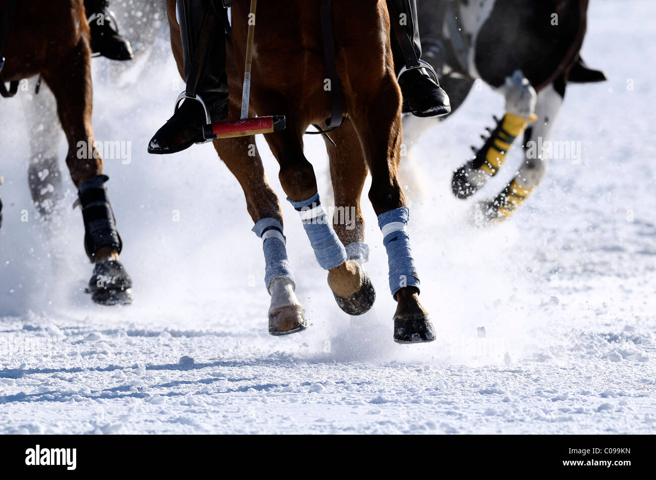 Giocatori di polo in lotta per la sfera, polo cavalli al galoppo attraverso la neve e neve Arena Polo World Cup 2010 torneo di polo Foto Stock