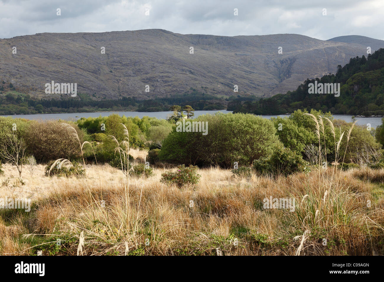 Glanmore Lake, penisola di Beara, nella contea di Kerry, Irlanda Isole britanniche, Europa Foto Stock