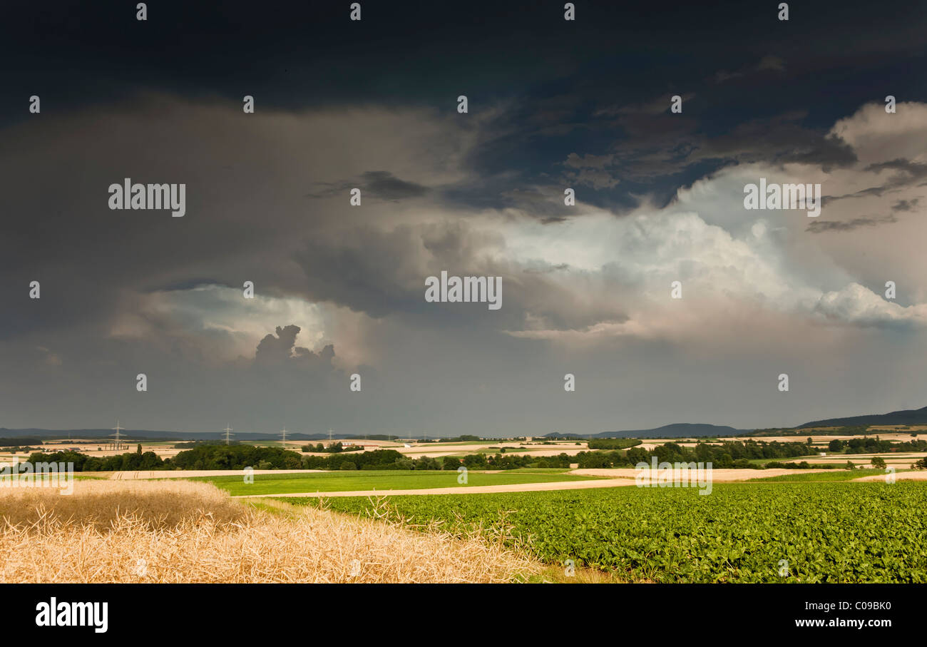 Spesse nuvole temporalesche raccolta su una zona agricola, Baviera, Germania, Europa Foto Stock