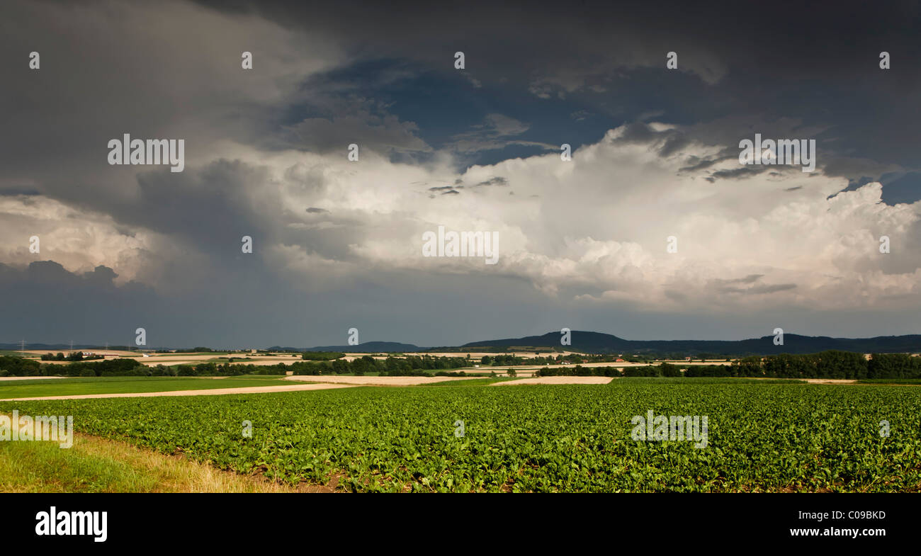 Spesse nuvole temporalesche raccolta su una zona agricola, Baviera, Germania, Europa Foto Stock