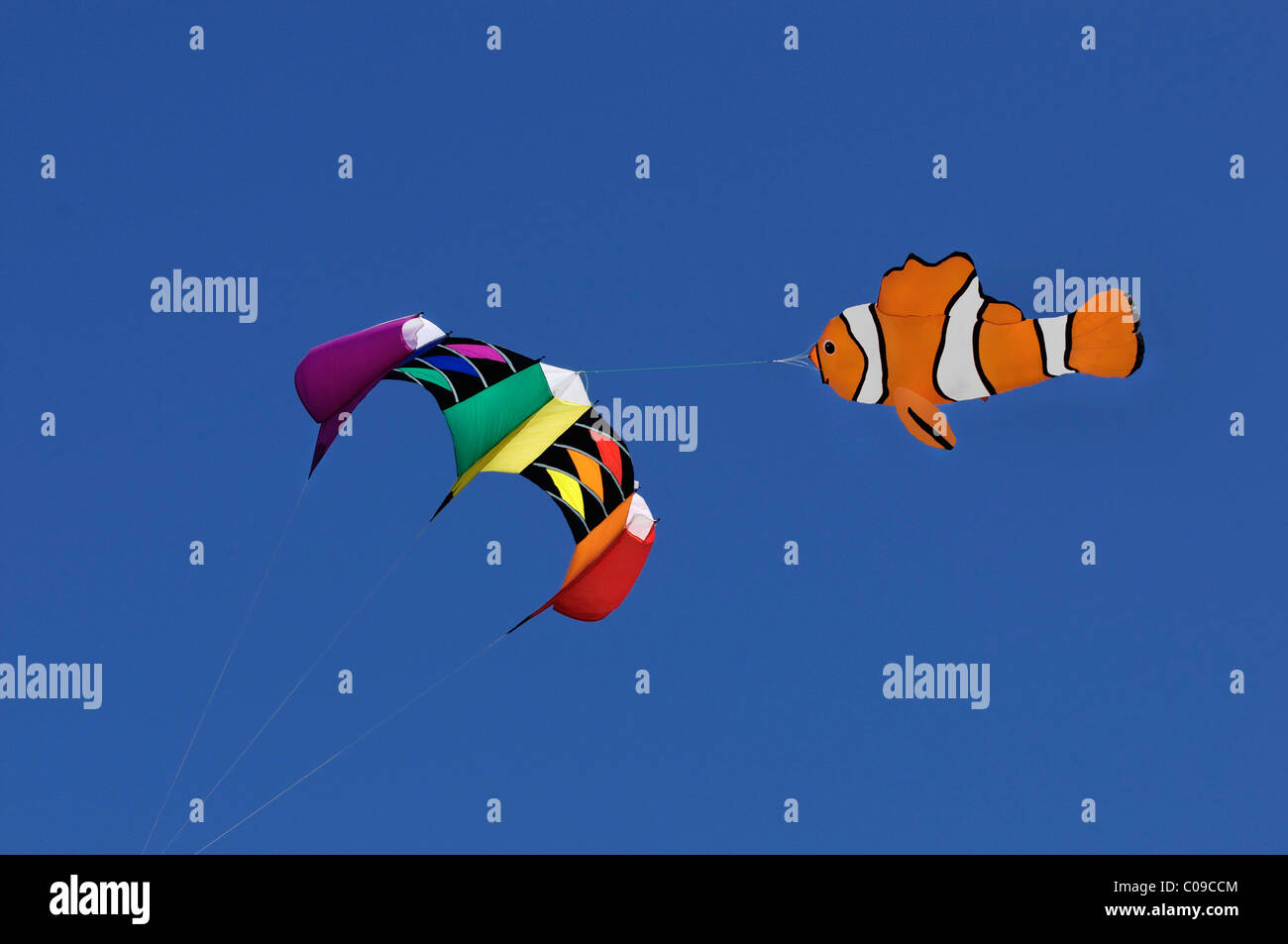 Colorato aquilone con pesci figura in alto nel cielo Foto Stock