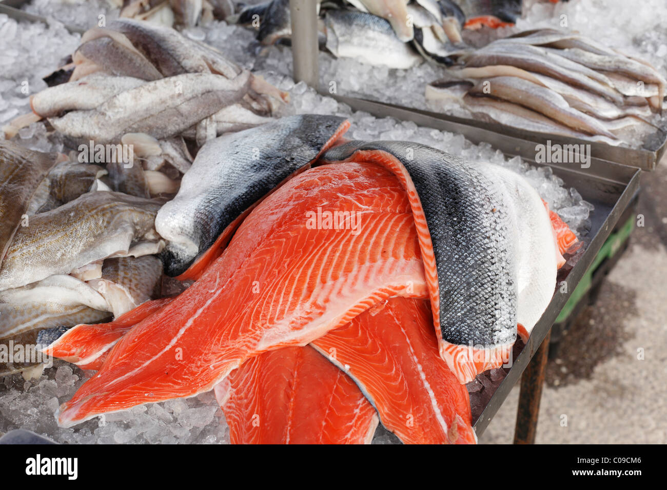 Salmone e altri tipi di pesci, stallo del mercato, Sneem, Ring of Kerry County Kerry, Irlanda Isole britanniche, Europa Foto Stock