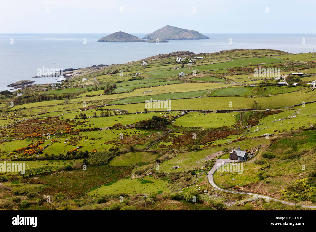 Costa, Isola di Deenish e Scariff isola, vista da Cahernageeha, Ring of Kerry, , Irlanda, Isole britanniche, Europa Foto Stock