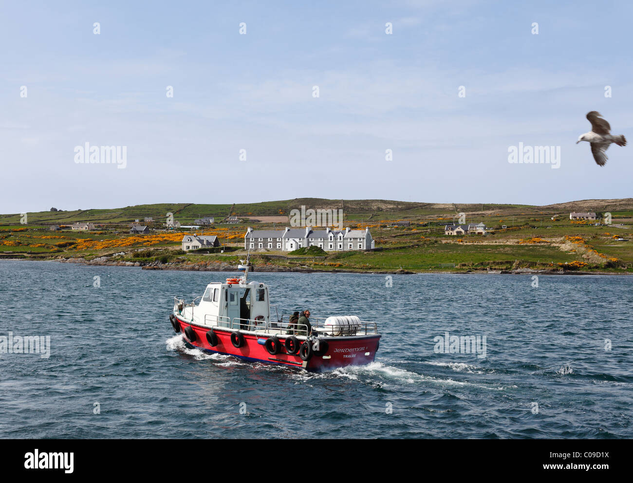 Barca off isola Valentia, Skellig Ring, nella contea di Kerry, Irlanda Isole britanniche, Europa Foto Stock