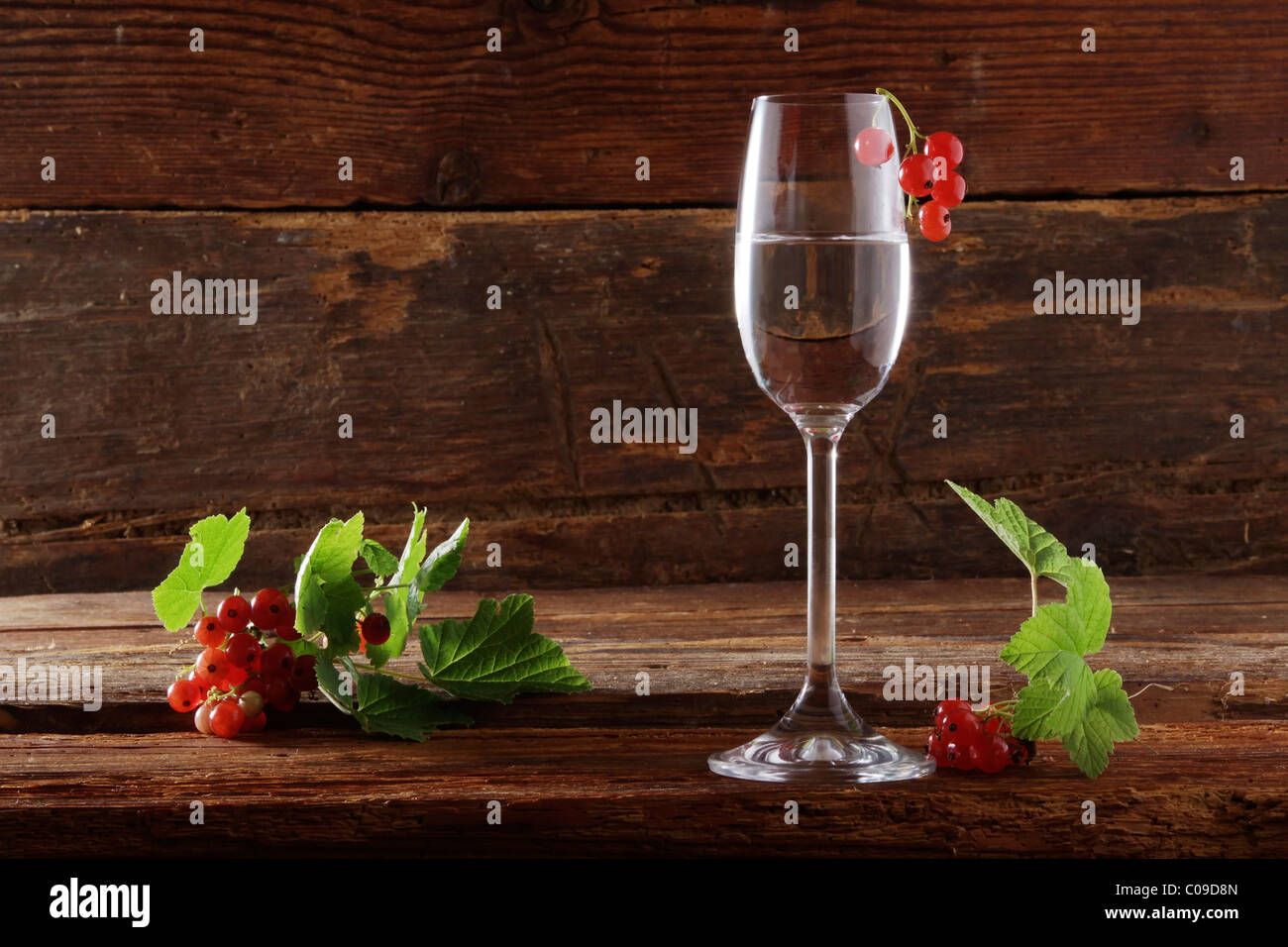Un bicchiere di rosso schnapps di ribes rosso con ribes (Ribes rubrum) su sfondo di legno Foto Stock