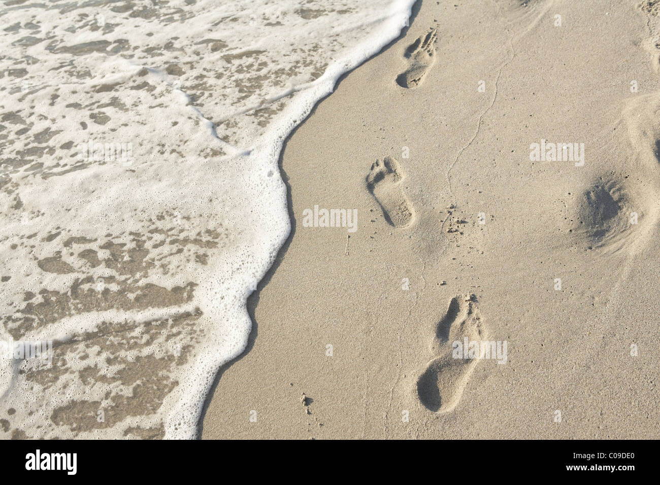 Orme nella sabbia bagnata Foto Stock