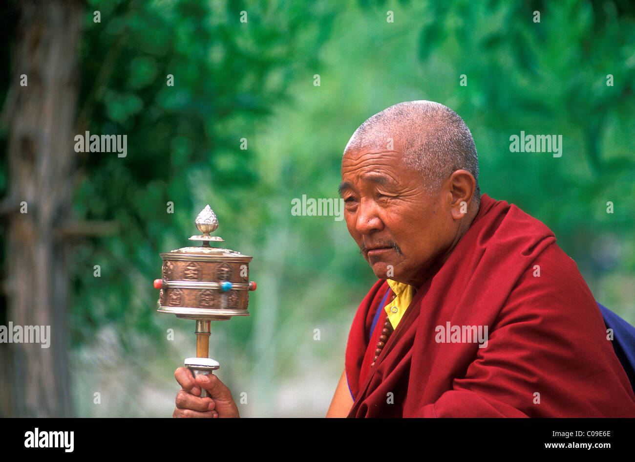 Monaco buddista tenendo un mulino di preghiera, di Ladakh Himalaya, Nord India, India, Asia Foto Stock