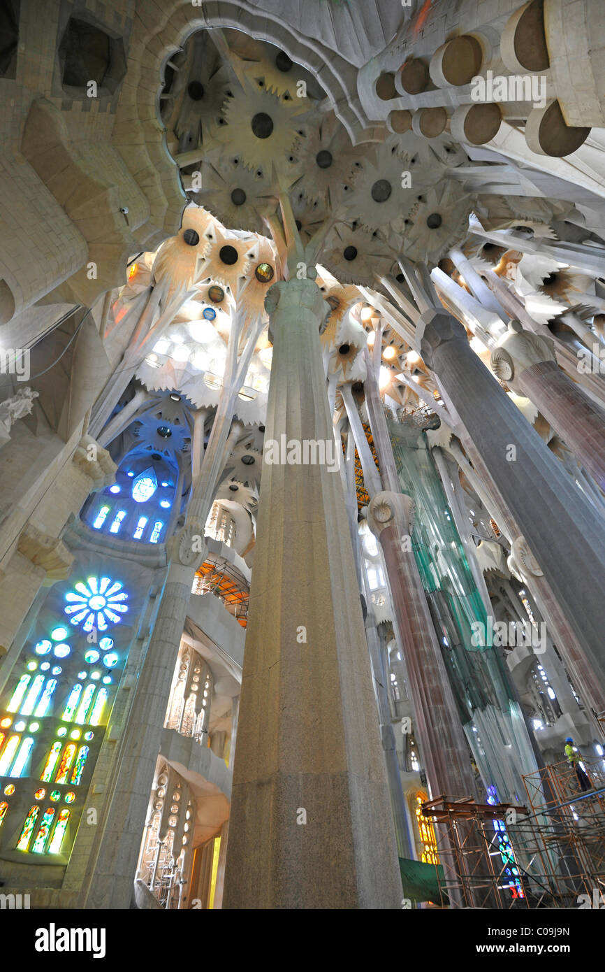 Tree-come le colonne nella parte interna finita, Basilica Temple Expiatori de la Sagrada Família, chiesa espiatorio del Foto Stock