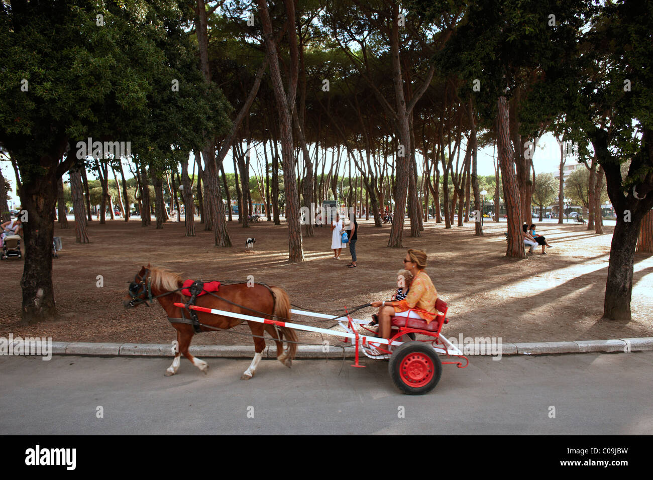 Una miniatura del Cavallo traina un carrello con una madre e figlio passato  un parco in Forte dei Marmi, Italia Foto stock - Alamy