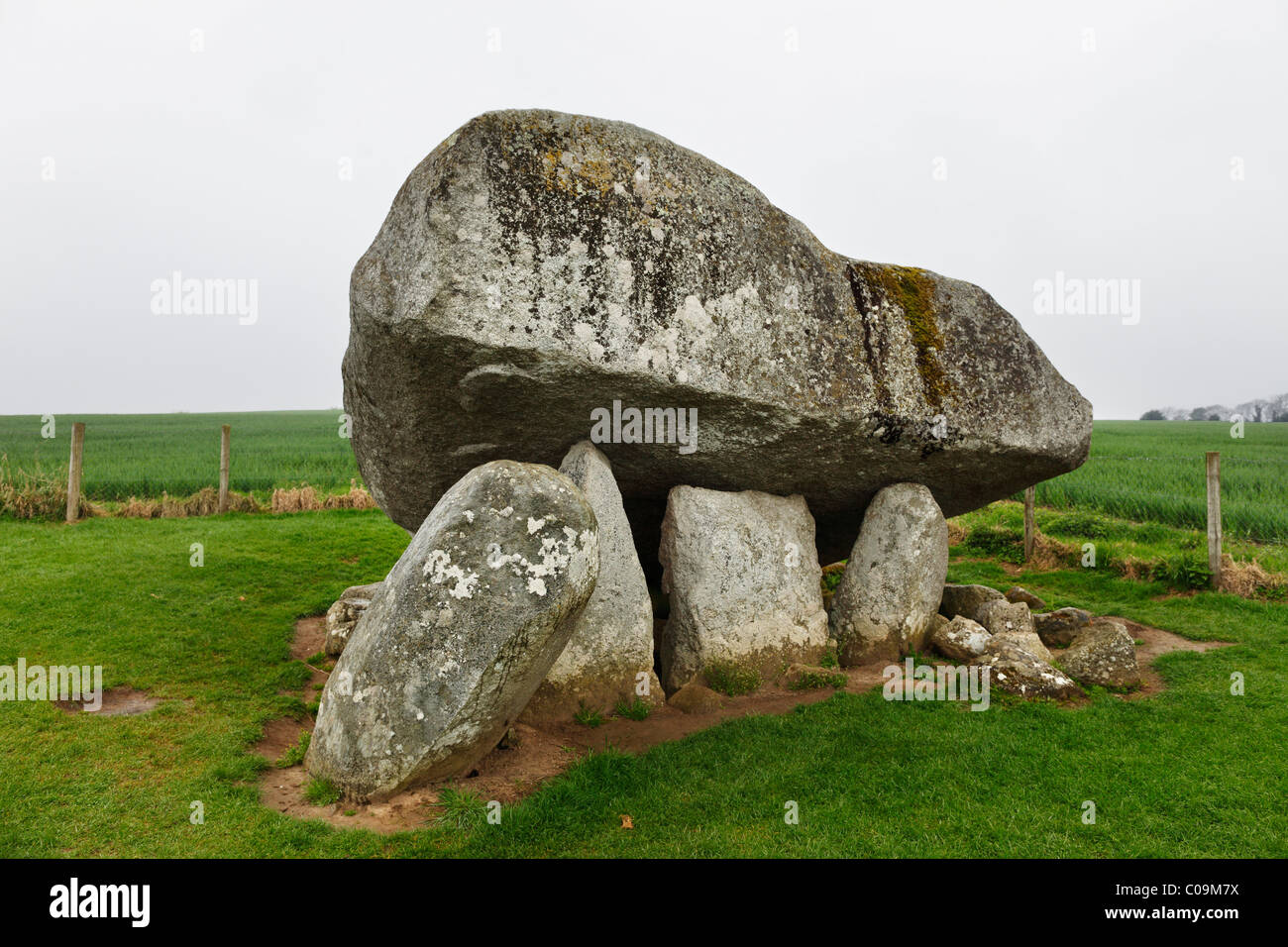 Dolmen Brownshill portal tomba neolitica, nella contea di Carlow Repubblica di Irlanda, Isole britanniche, Europa Foto Stock