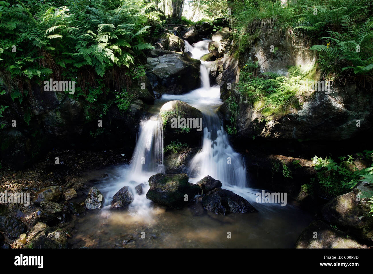 Todtnauer Wasserfall cascate a Todtnau nella Foresta Nera, Baden-Wuerttemberg Germania, Europa Foto Stock